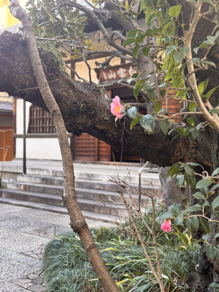 Temple well-being image 8